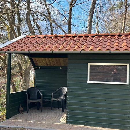 IJhorst Vakantiehuis De Witte Bergen מראה חיצוני תמונה